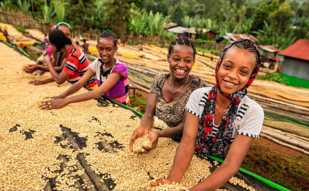 Children helping with harvest Children helping with harvest