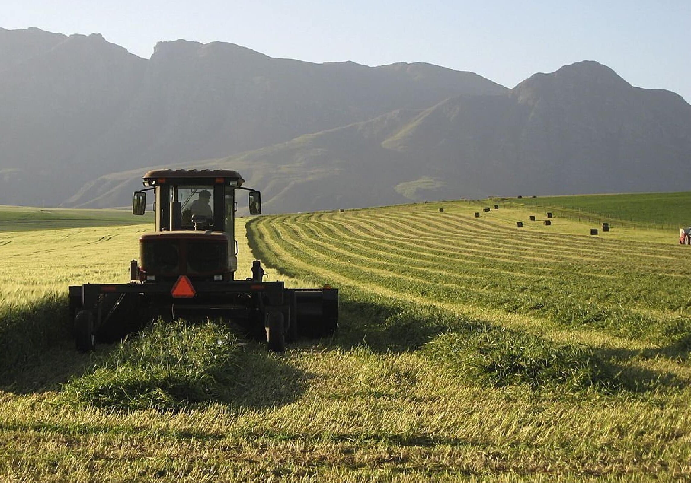 Tractor in field Tractor in field